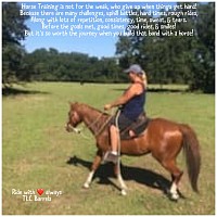 First rides under saddle & Foundation Training