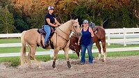 Training barrel pattern