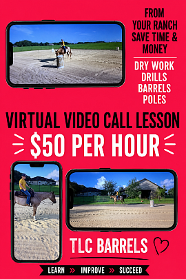 Virtual Video Call Live Lessons